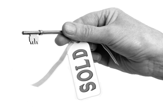 Estate Agency Estate Agency